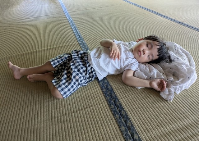 畳の上でお昼寝