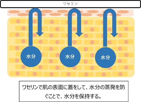 保湿剤について