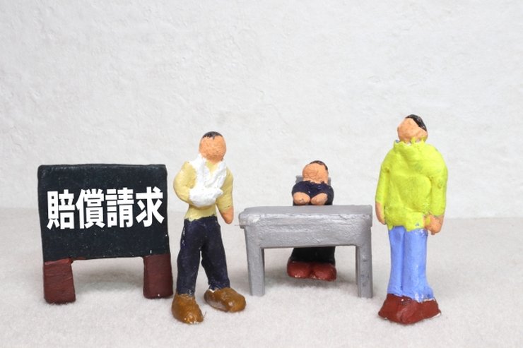 個人賠償責任保険が必要ないか考える様子